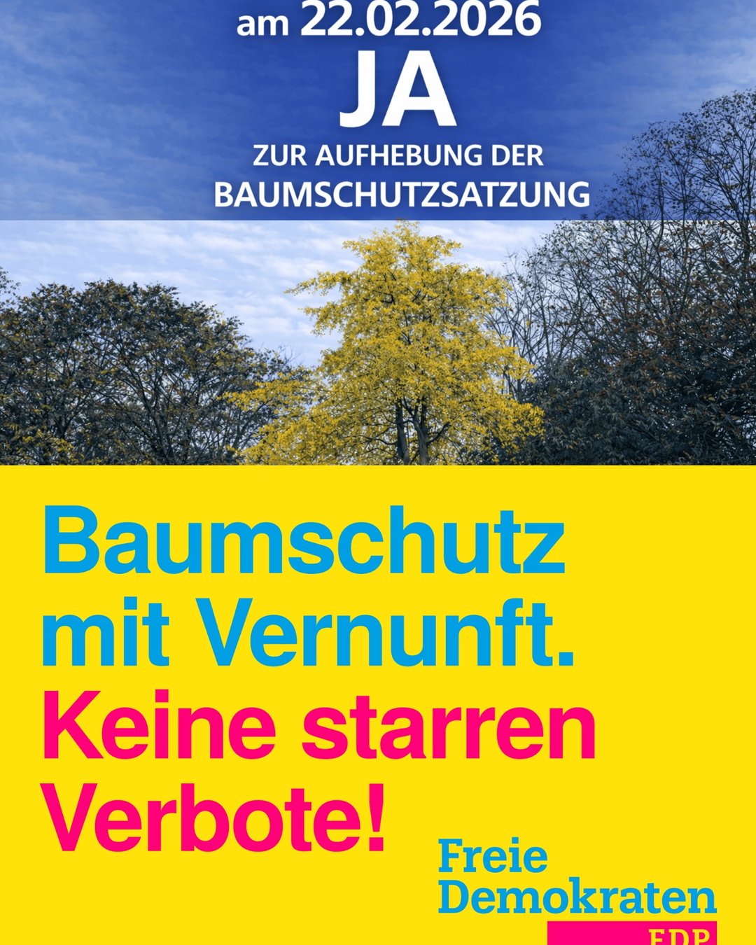 Baumschutz 2